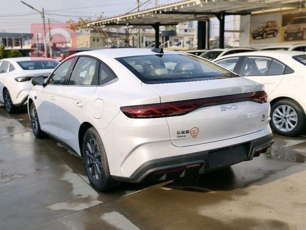 بي واي دي كوين L DM-i